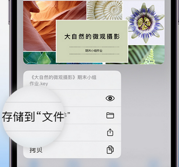 费县apple维修中心分享iPhone文件应用中存储和找到下载文件