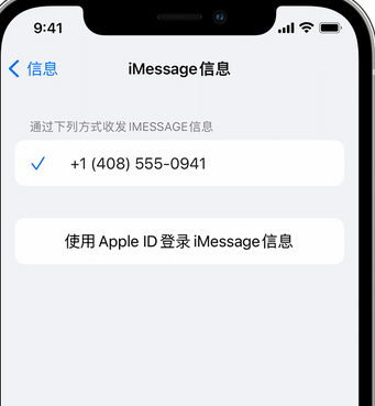 费县apple维修iPhone上无法正常发送iMessage信息 