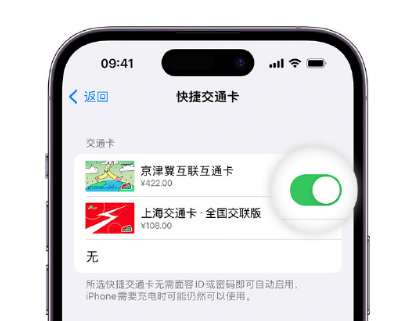 费县apple维修点分享iPhone上更换Apple Pay快捷交通卡手绘卡面 