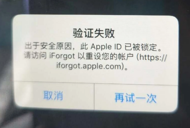 费县iPhone维修分享iPhone上正常登录或使用AppleID怎么办 