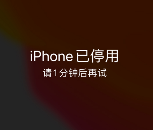 费县苹果手机维修分享:iPhone 显示“不可用”或“已停用”怎么办？还能保留数据吗？ 