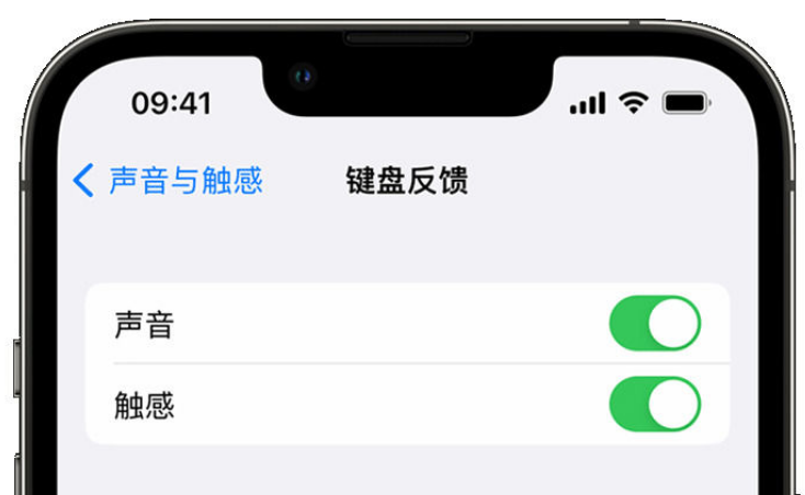 费县苹果手机维修分享iPhone 14触感键盘使用方法 