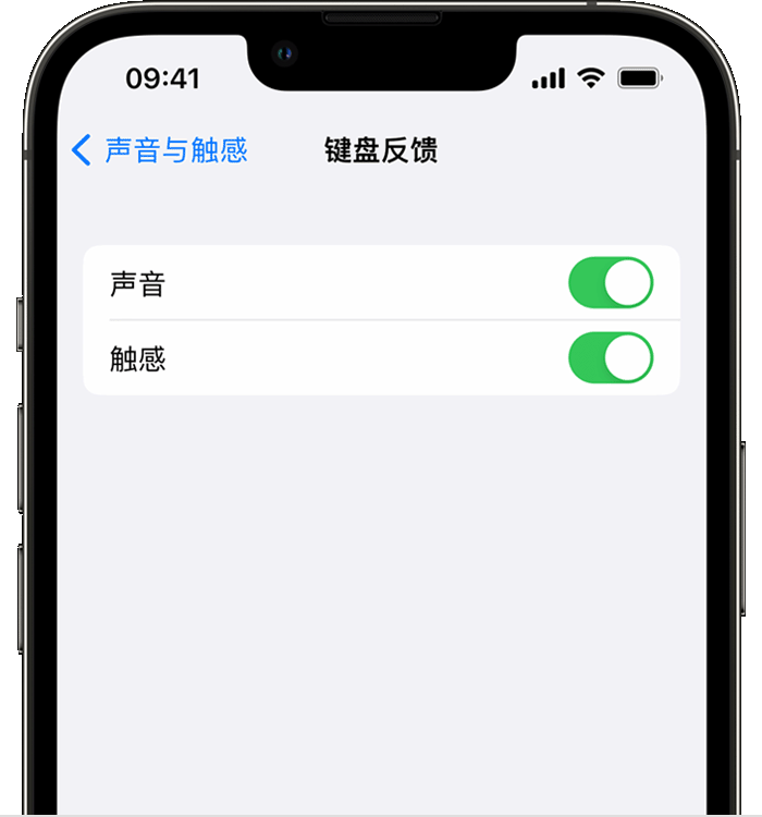 费县苹果14维修店分享如何在 iPhone 14 机型中使用触感键盘 