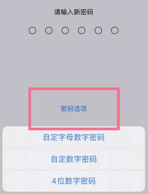 费县苹果14维修分享iPhone 14plus设置密码的方法 