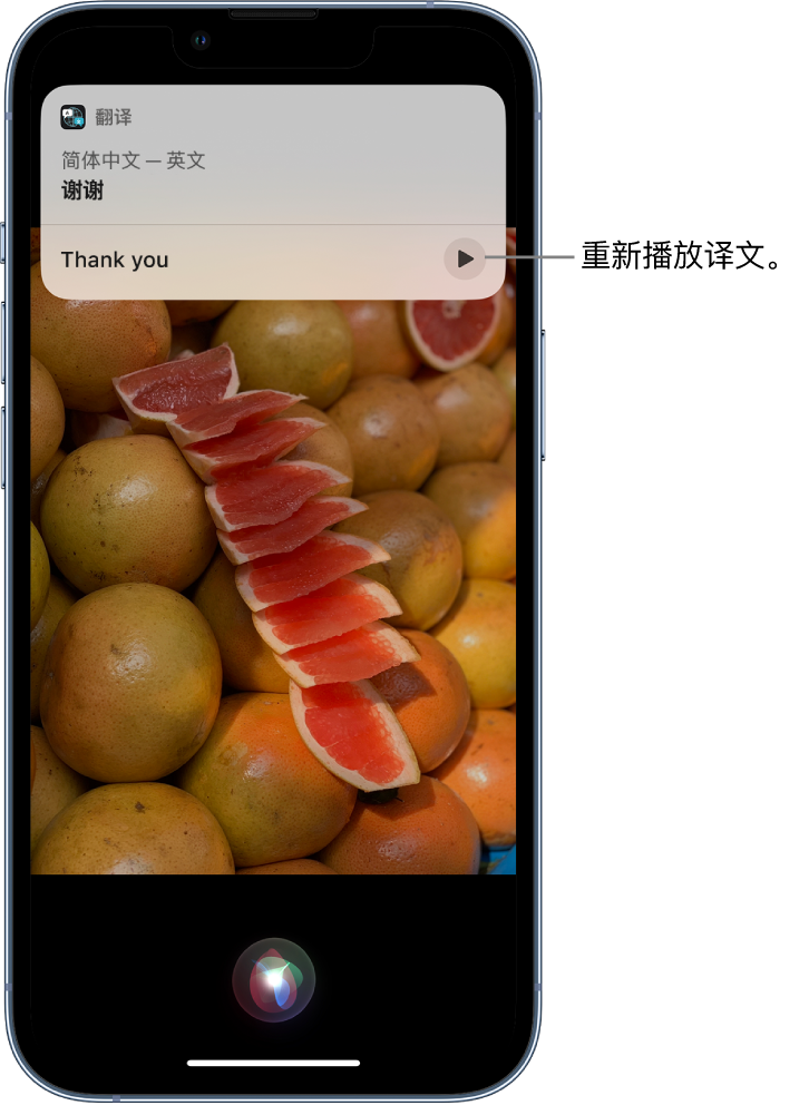 费县苹果14维修分享 iPhone 14 机型中使用 Siri：了解 Siri 能帮你做什么 