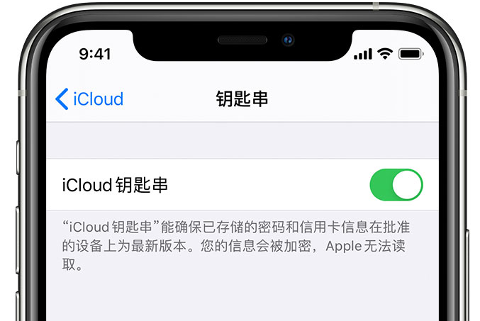 费县苹果手机维修分享在 iPhone 上开启 iCloud 钥匙串之后会储存哪些信息 