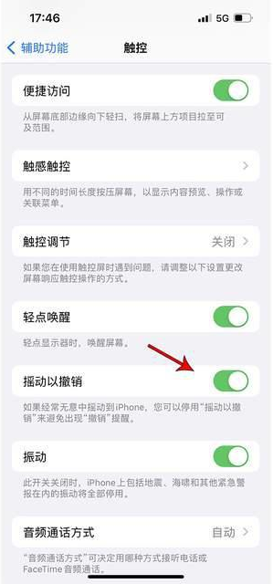 费县苹果手机维修分享iPhone手机如何设置摇一摇删除文字 